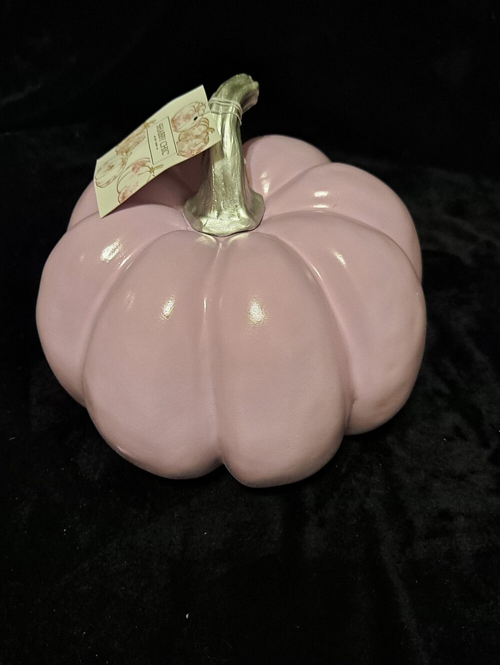 Shabby Chic Purple  Decorative Pumpkin with Silver Stem